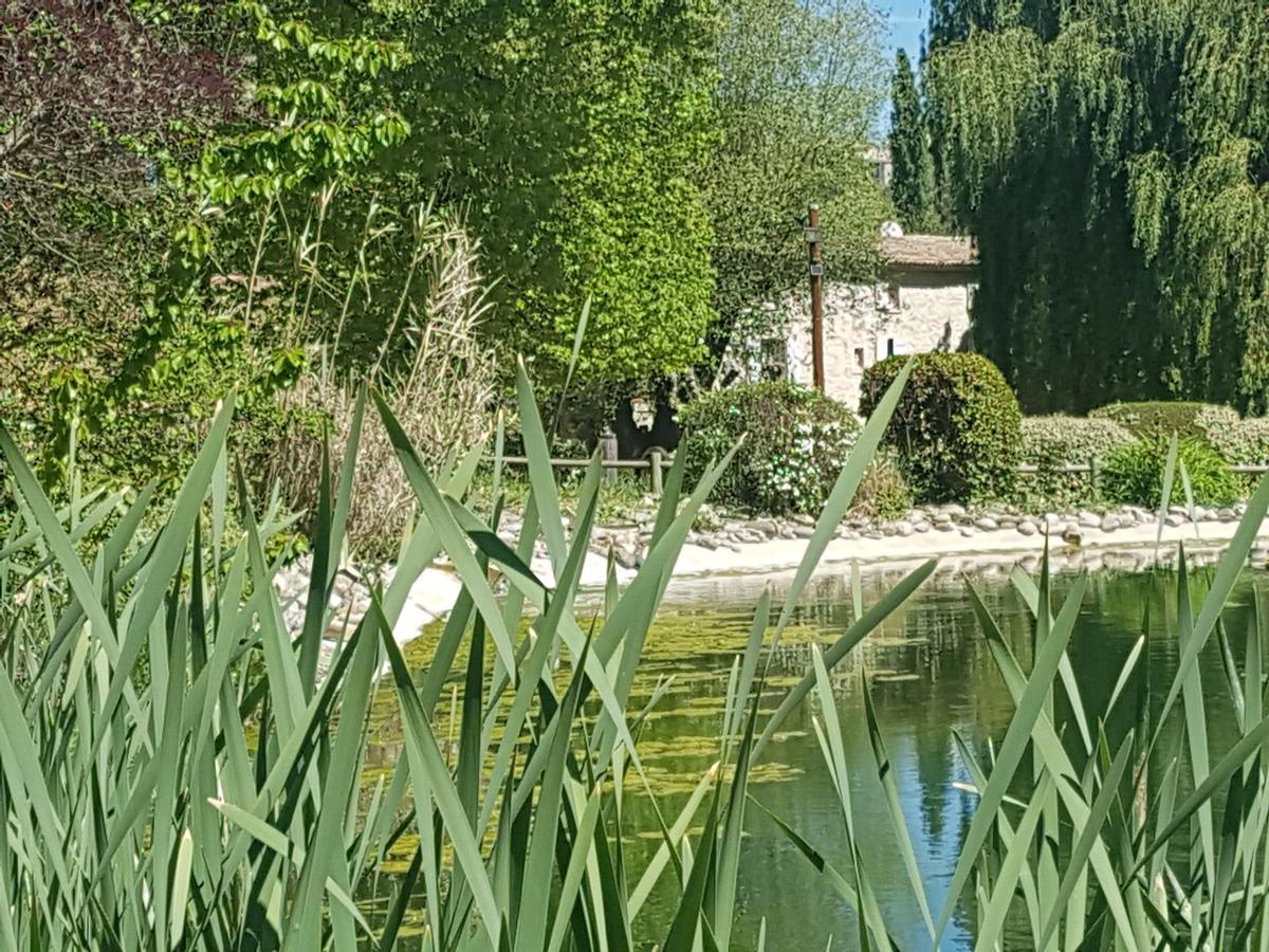 La Campagne St Lazare - Restaurant Chambres D'Hotes Piscine & Spa Forcalquier Dış mekan fotoğraf