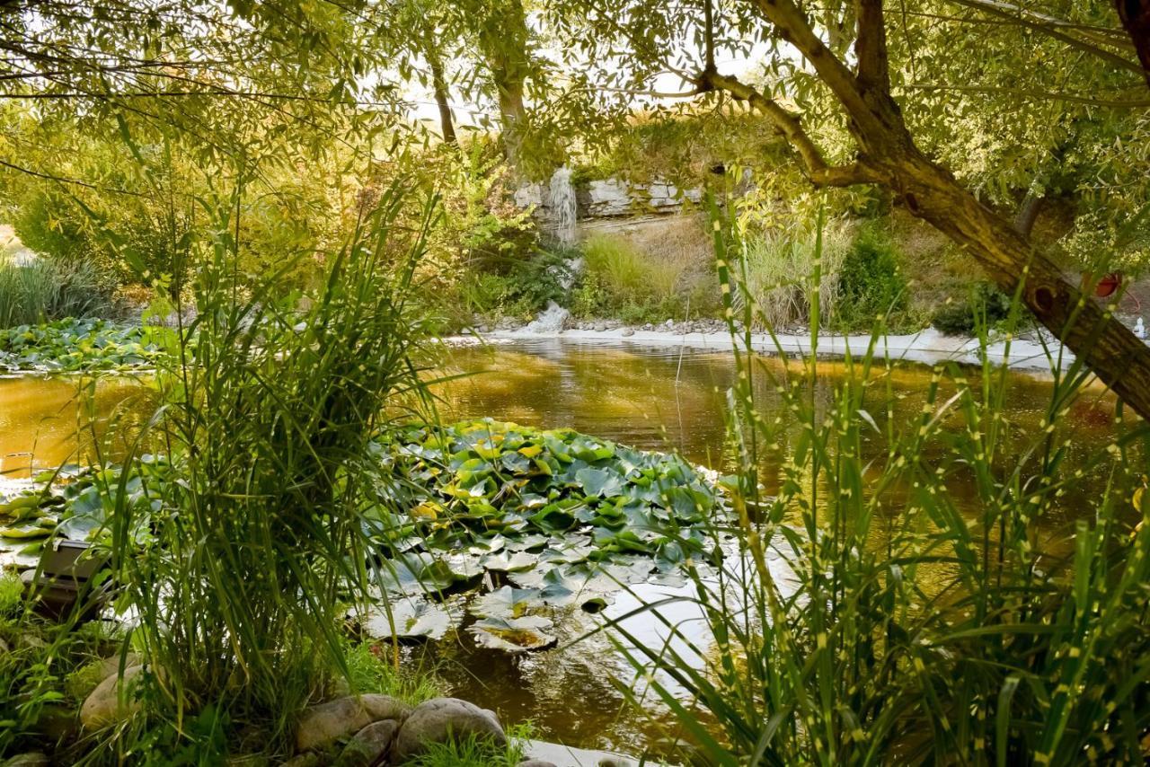 La Campagne St Lazare - Restaurant Chambres D'Hotes Piscine & Spa Forcalquier Dış mekan fotoğraf